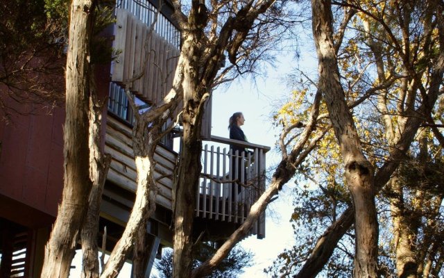 Hapuku Lodge & Tree Houses