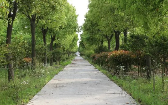 Shanghai Seaside Guest Homestay