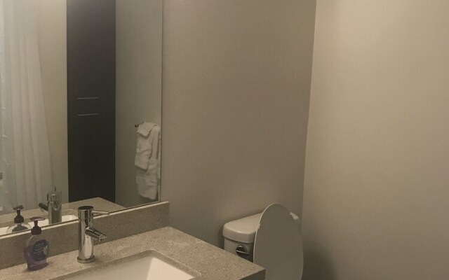 Modern Downtown Condos by Barsala