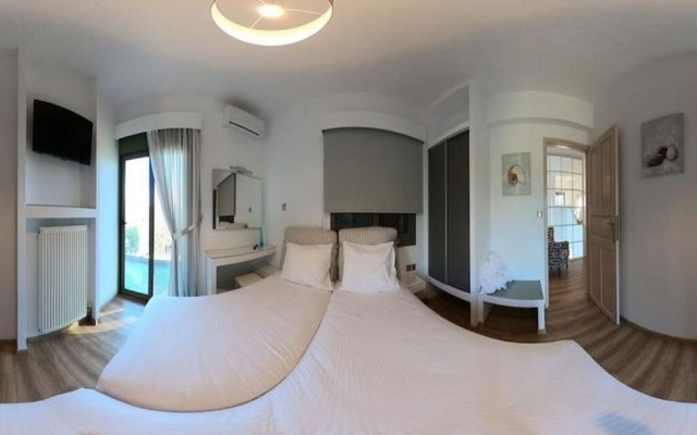 Terra Divina Damnoni