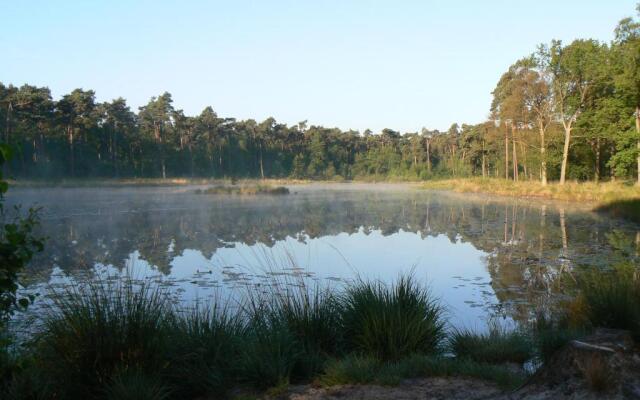 Tiny house Appelvinkje, huisje met bedstee in bosrijke omgeving
