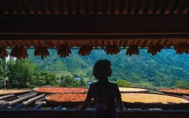 Wuyuan met the dawn bighead