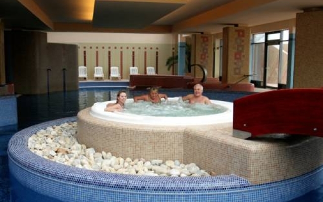 Flamingo Wellness
