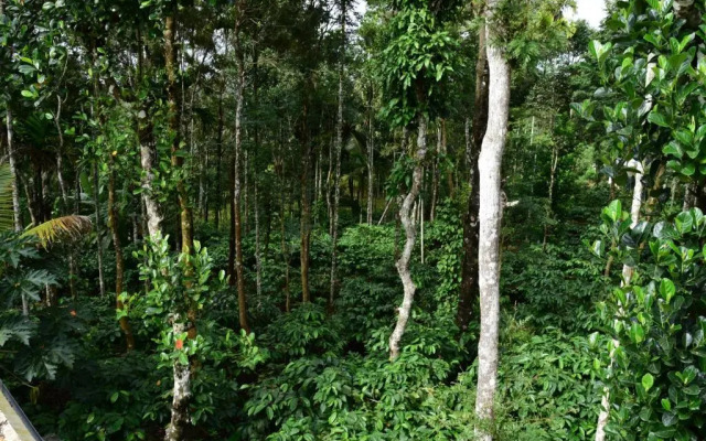 Pauls Retreat Wayanad