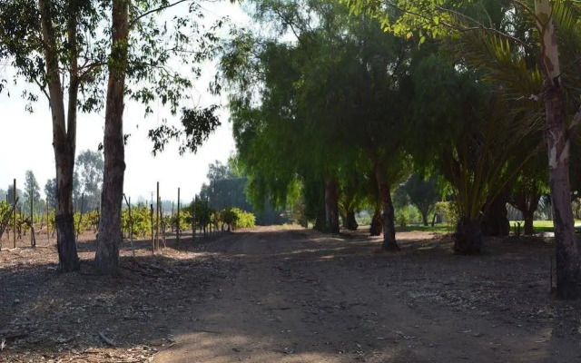 Rancho Toros Pintos