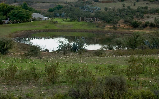 Swartberg Private Game Lodge