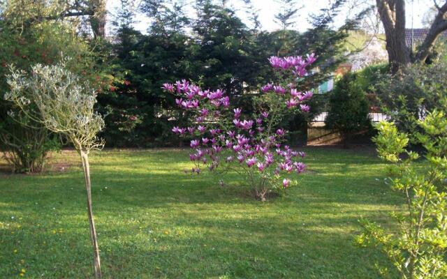 Les Magnolias