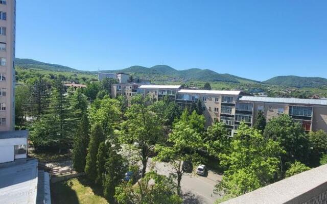 Apartament in regim hotelier Deva
