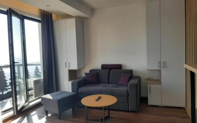 Ariš Kopaonik apartman A21