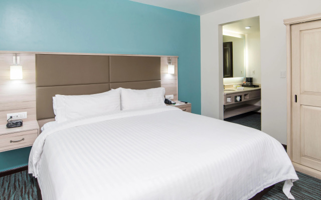 Holiday Inn & Suites Mexico Zona Reforma by IHG