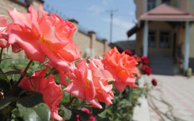 The Zhibek-Zholu Guest House