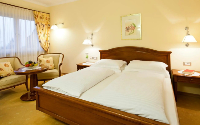 Hotel Aster