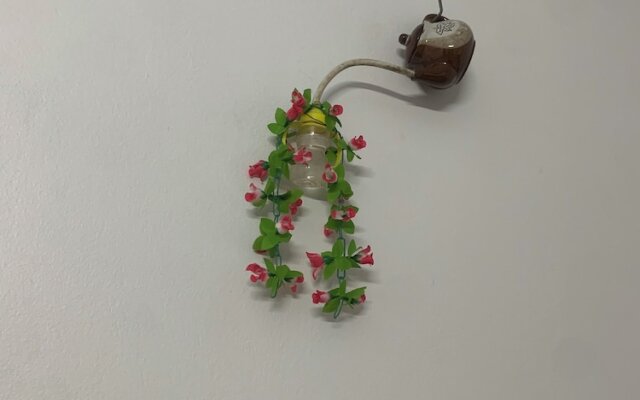 TamCoc Green field Hostel