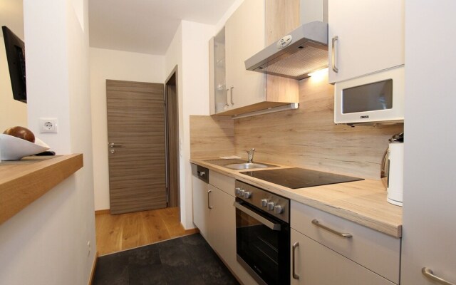 Modern Apartment Near Ski Area in Mittersill