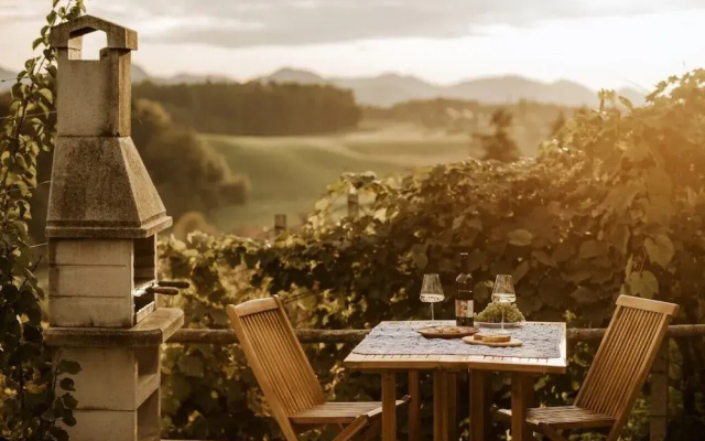 Vineyard cottage Zdolšek
