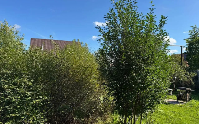 Маруся House (Хаус)