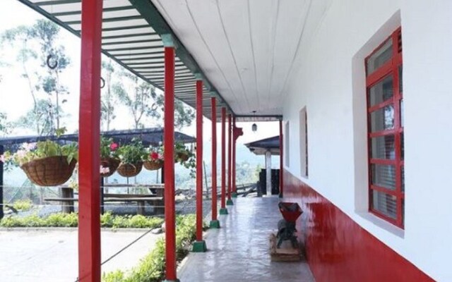 Hostal Las Camelias Salento - Hostel