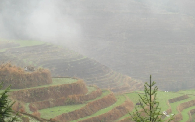 Longji Jinkeng Dazhai Hostel