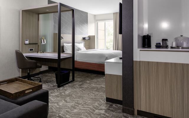 SpringHill Suites by Marriott Atlanta Alpharetta/Roswell
