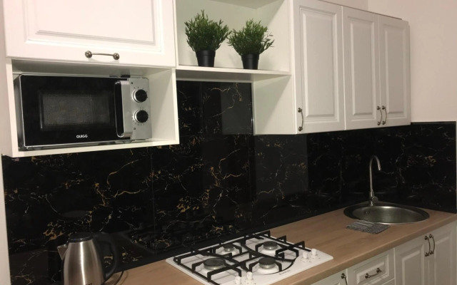 Centr Opera House 2 rooms