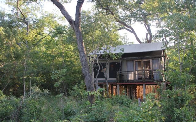 Miombo Safari Camp