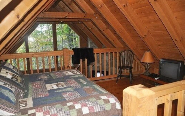 Mountain Bearadise 2 Bedrooms 2 Bathrooms Cabin
