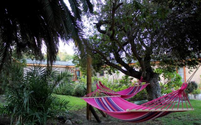 El Arbol Eco-Lodge - Hostel