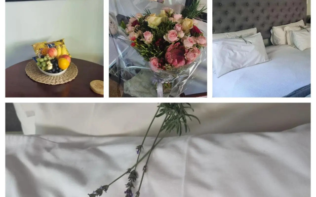 Bio-Pointment Guest Suites