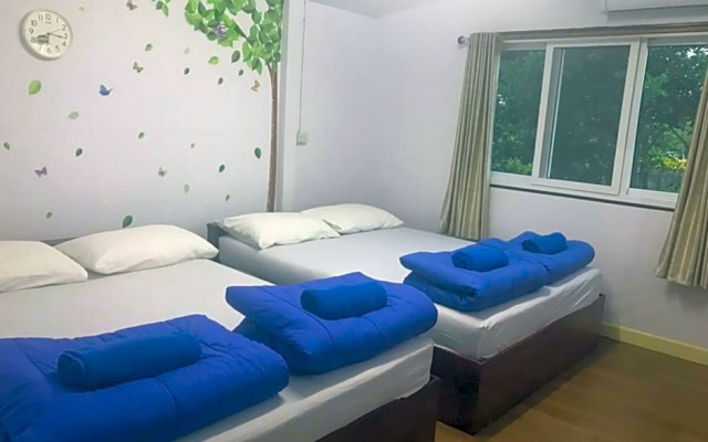 Tree in town ทรีอินทาวน์