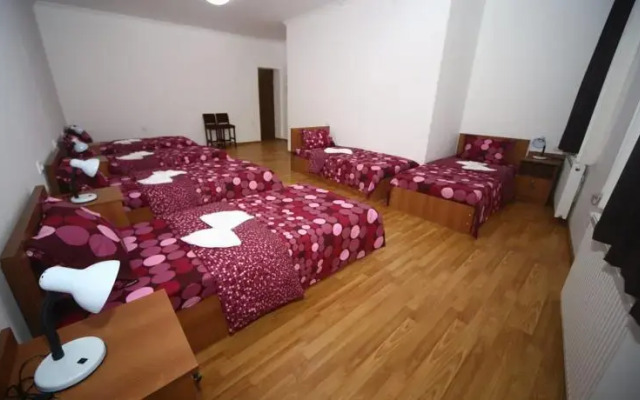 Hostel Lion
