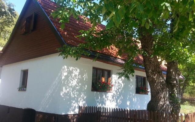 Eco camp Rizvan City (Velebit)