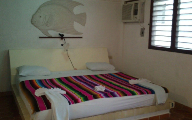 Safari Inn