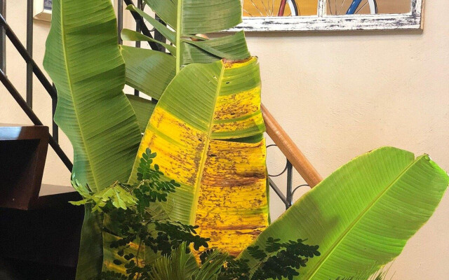 Casa Carmel, Charmosa, Natureza, piscina em Búzios/RJ