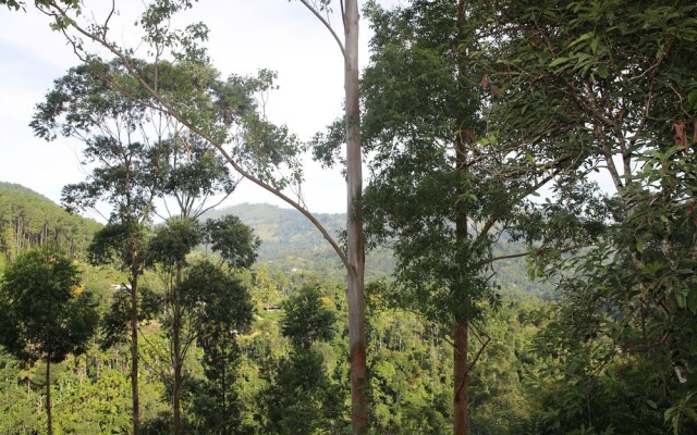 Senevi 9 Arch Homestay