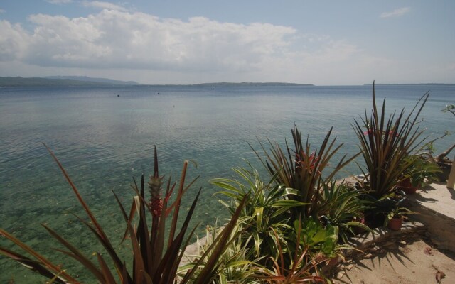 Rene's Diverslounge Resort