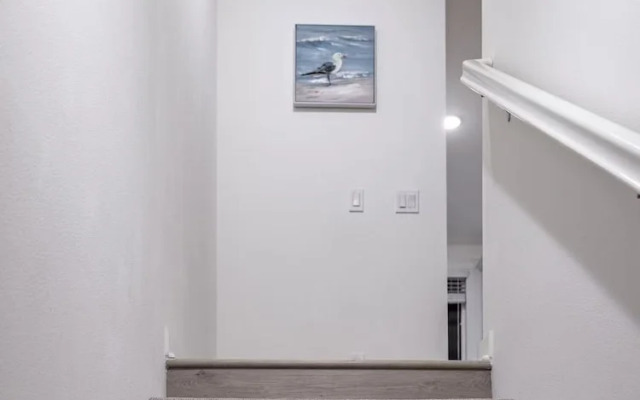 Modern Designer Stay Bright Chic Spacious