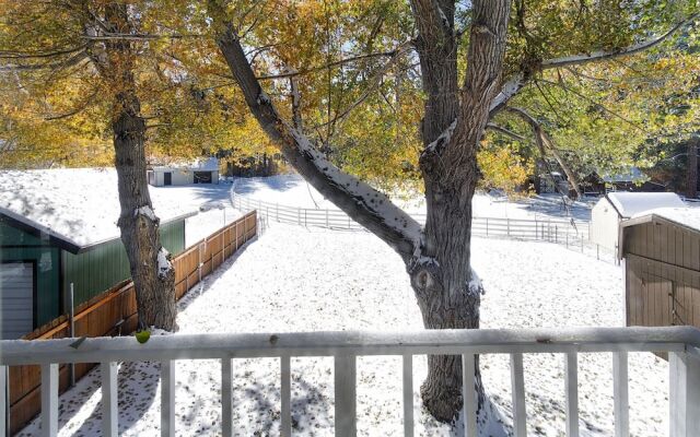 Trail Blazer Family Cabin #461