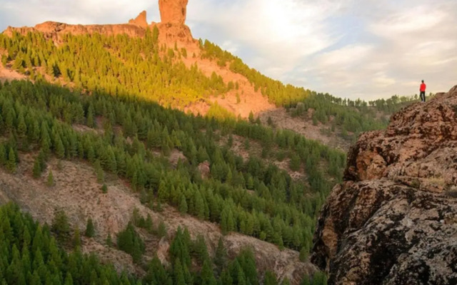 Apartment with terrace