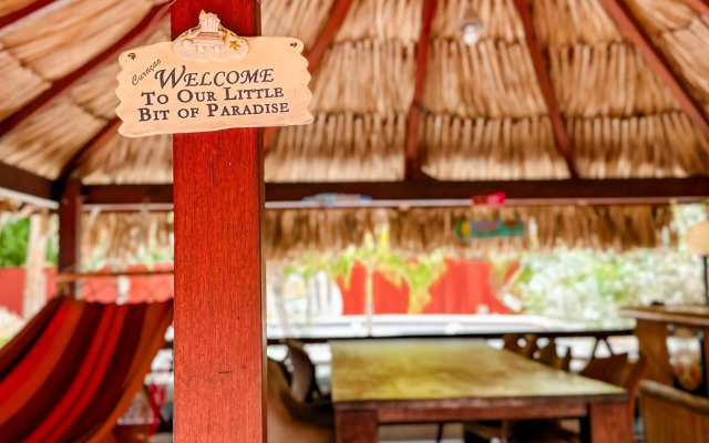 B&B Woodstock Palmresort