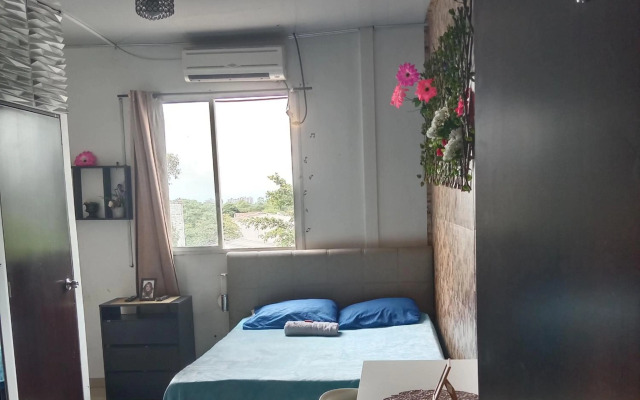 Estancias ALELI ,entre/sal.aerpto,terml traspt,CC.unico,baseMFS