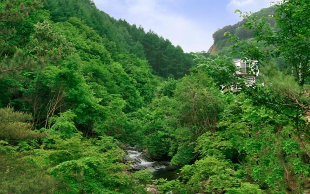 Overnight Pension