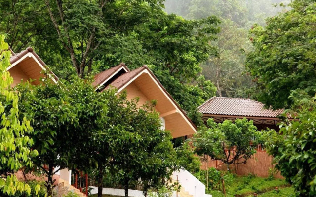 Les Robinsons De Ranong Resort