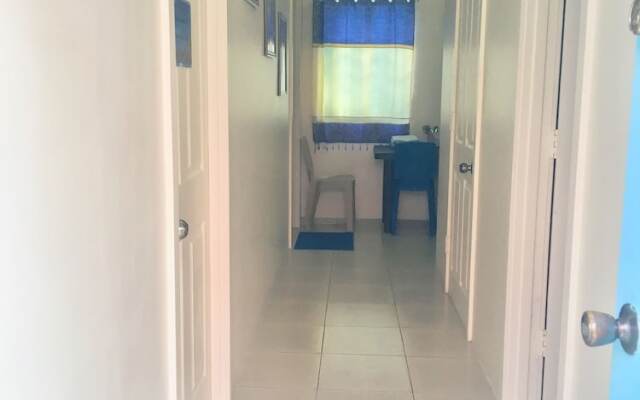 Blue Summer Suites