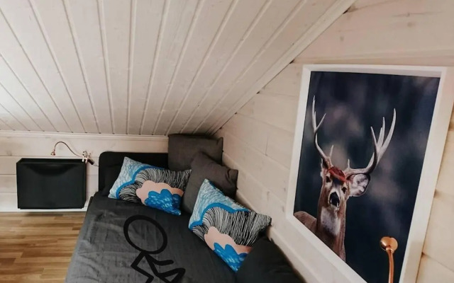 Large 8-9-bed Central Ski Innout House in Hemavan