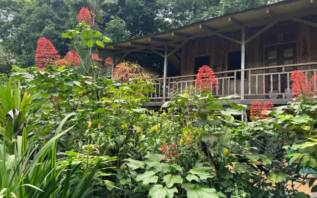 Casa Rio Blanco Eco Friendly B&B