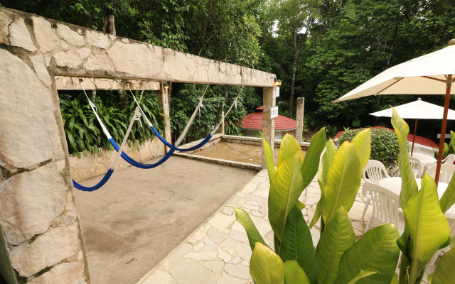 Mision Palenque