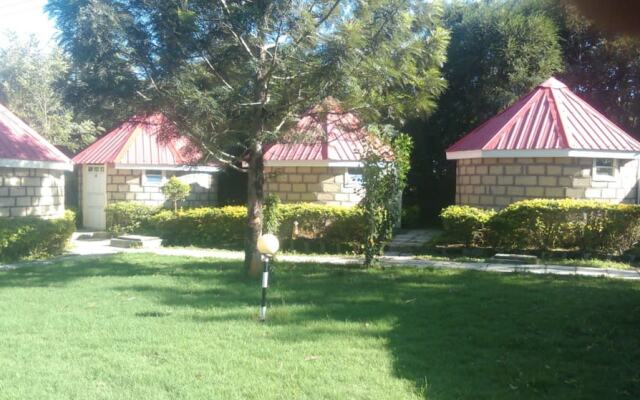 Look Up Guest House