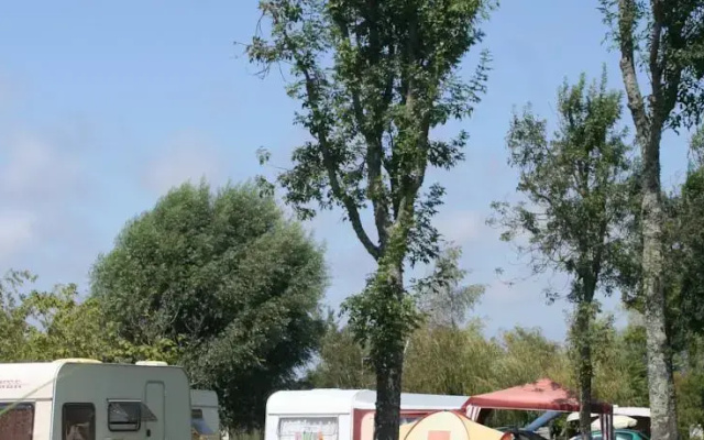 Les Catalpas