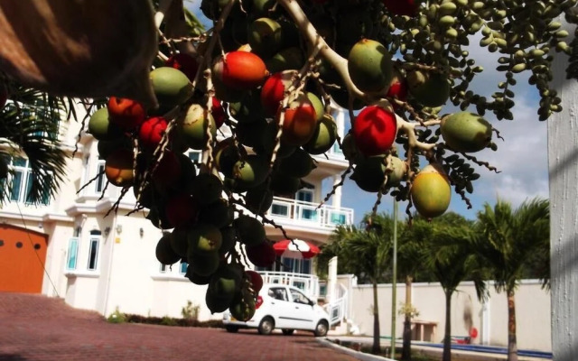 Luxor Residence Guest House