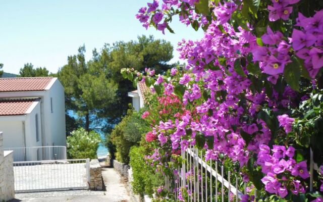 Apartment Rose Gemmano 22278